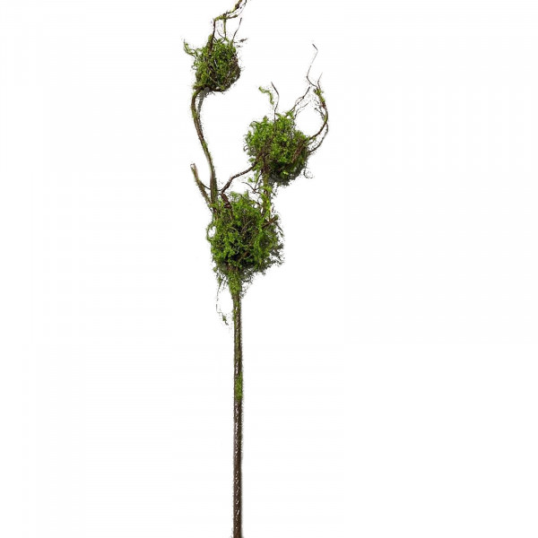 HTI-Living Flora Zweig mit Vogelnestern Kunstpflanze