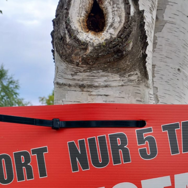 HTI-Living Ideal für Straßenlampen, Bäume und Zäune Kabelbinder für Plakatbefestigung 80cm