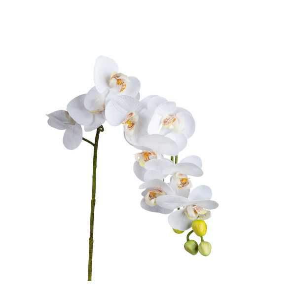 formano Weiß Orchideenzweig 80 cm