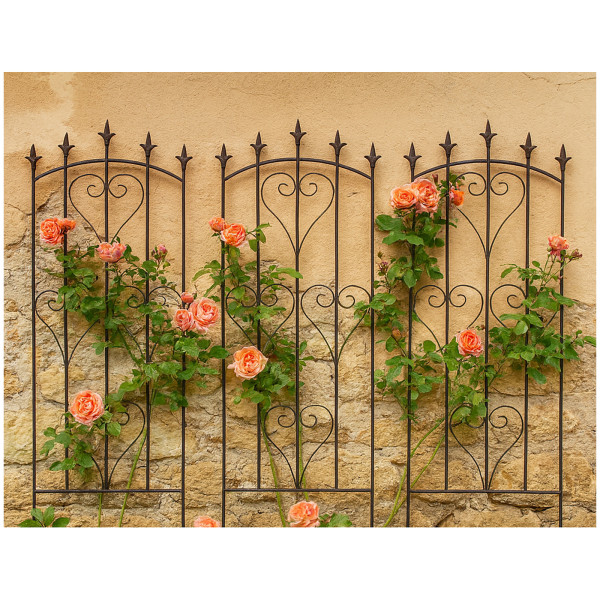 HTI-Living mit Herz-Ornamenten Rankgitter 3er Set