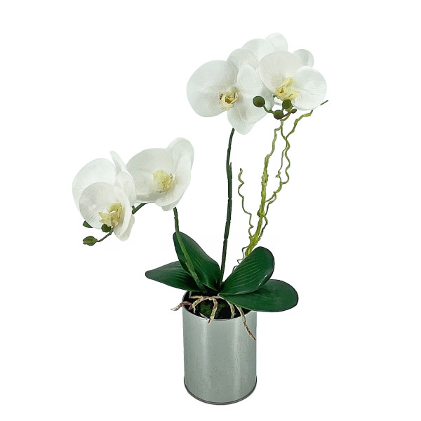 NTK-Collection Leilani Kunstblume Orchidee im Topf