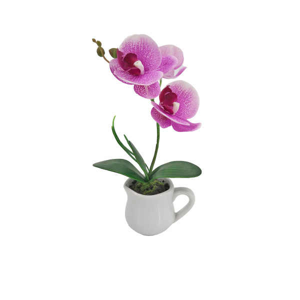 Orchideen-Bonsai 27 cm