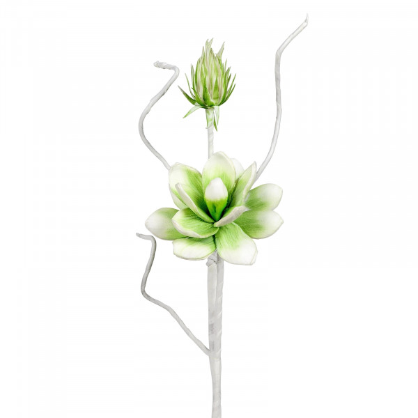 Formano weiß-grün Blütenzweig