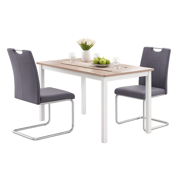 Schwingstuhl KellyC Grau 2er