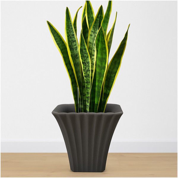 HTI-Living Blumentopf Übertopf